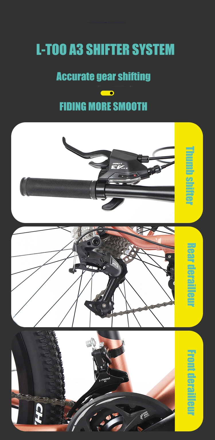 27.5 Inch Lightest Aluminium Mountain Bike Alloy Fork Downcountry Mountain Bike 4